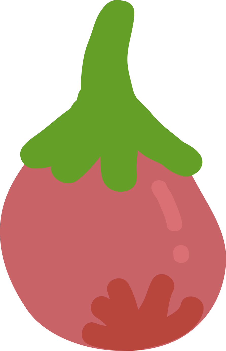 波姬紅無花果
