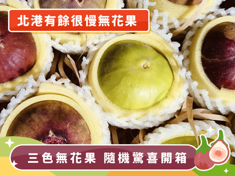 三色無花果