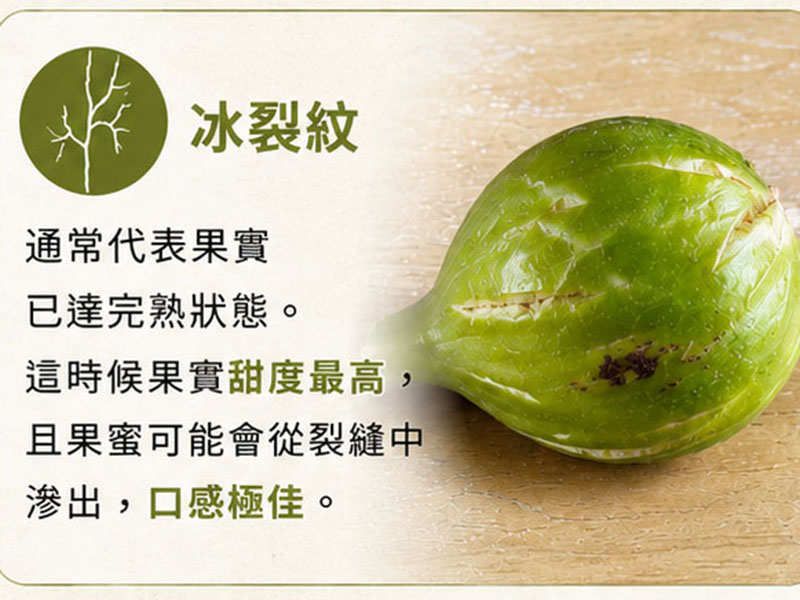 果皮裂紋