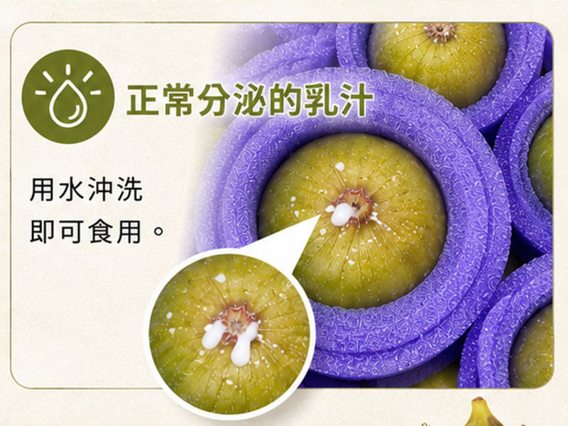 白色乳汁