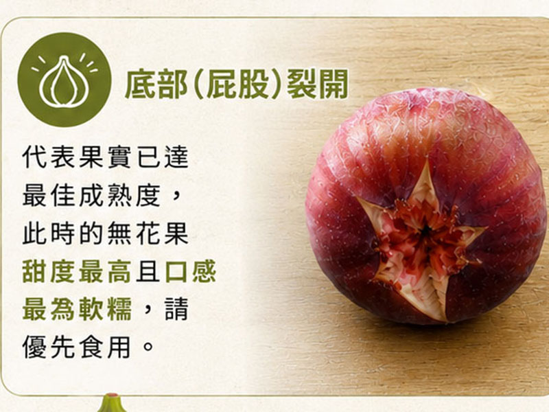 屁股裂開