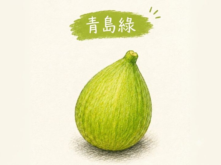 青島綠